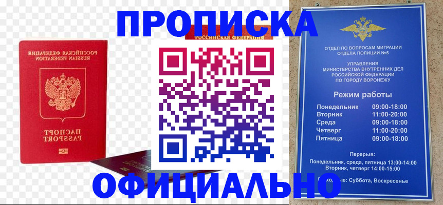 прописка иностранных граждан в Ковылкино